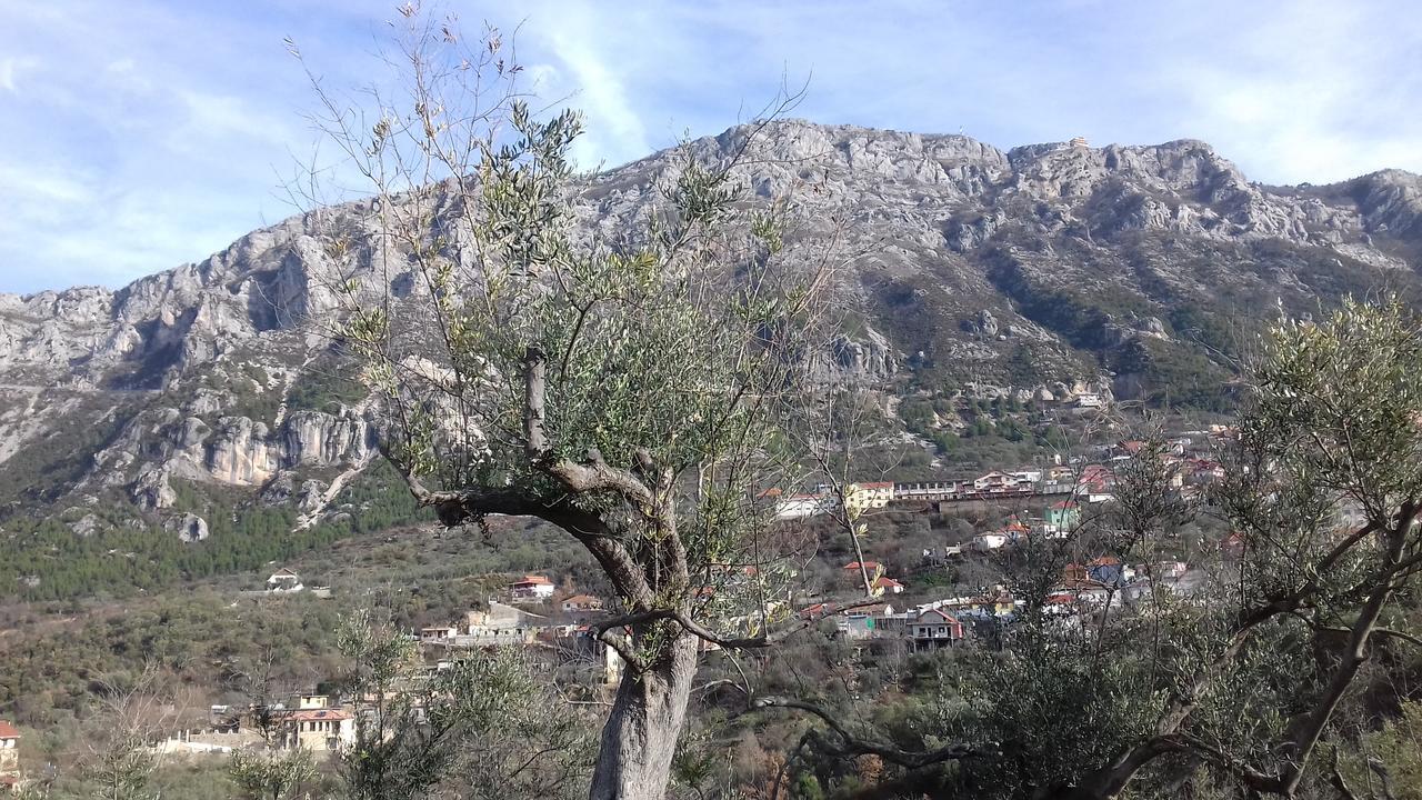 Kruja Hostel Zewnętrze zdjęcie
