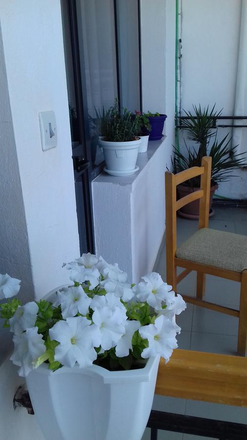 Kruja Hostel Zewnętrze zdjęcie